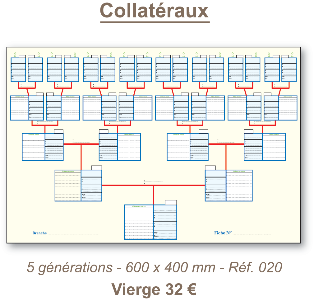 Collatéraux