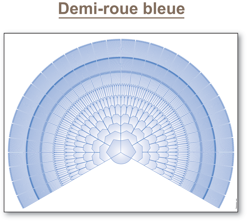 Demi-roue bleue