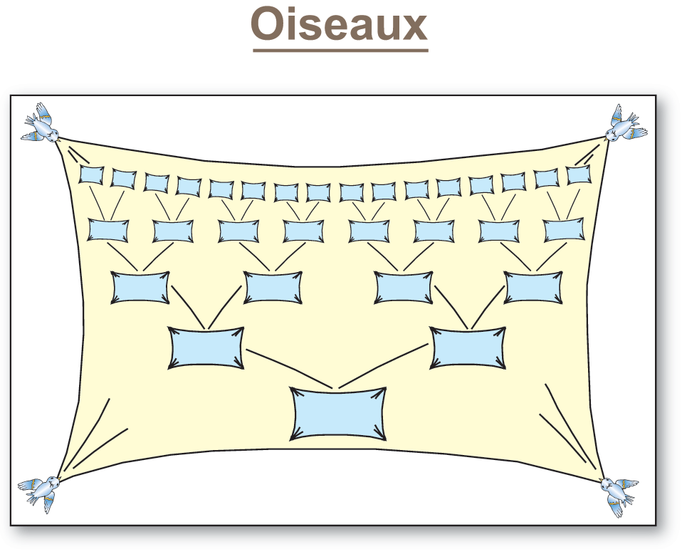 Oiseaux