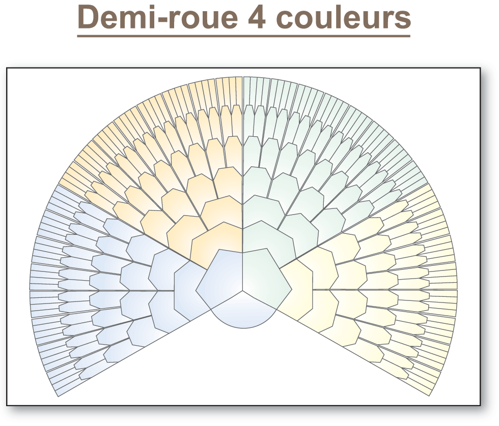 Demi-roue 4 couleurs