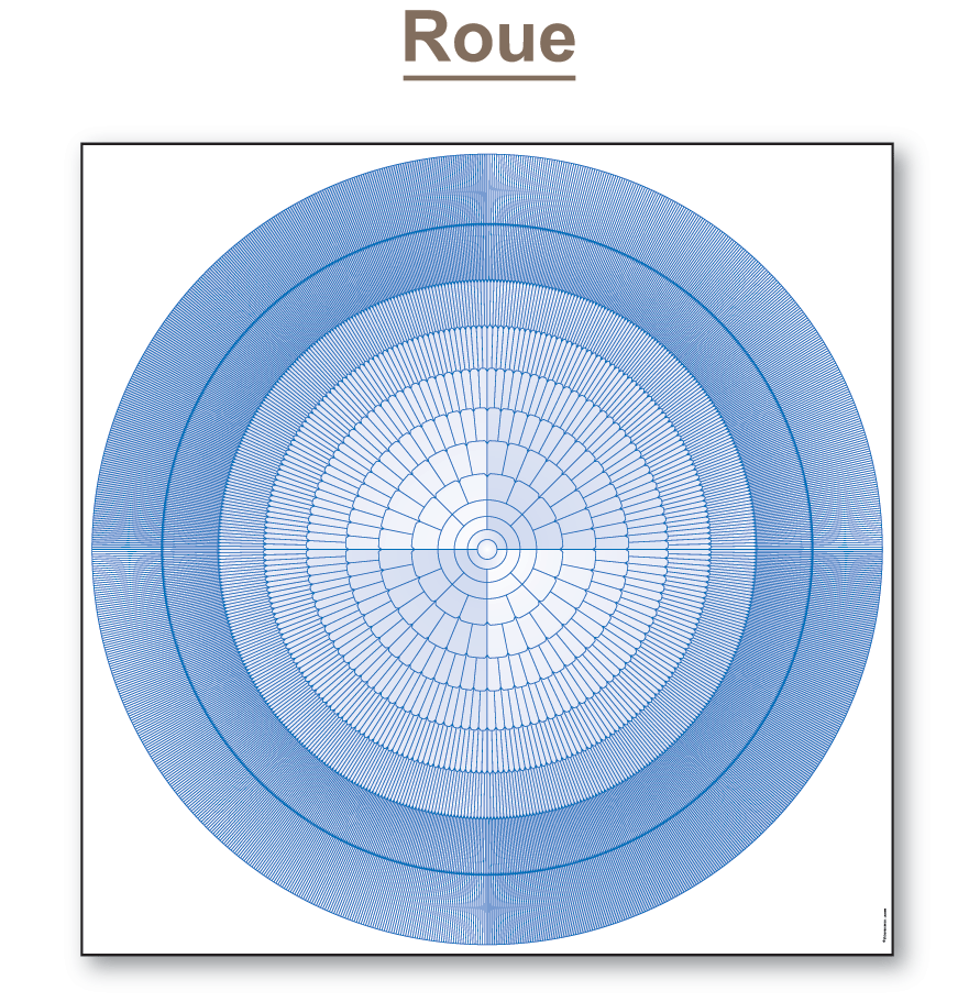 Roue