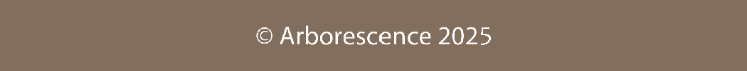 Arborescence